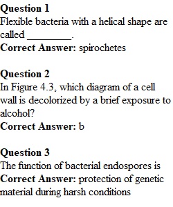 Quiz on Bacteria